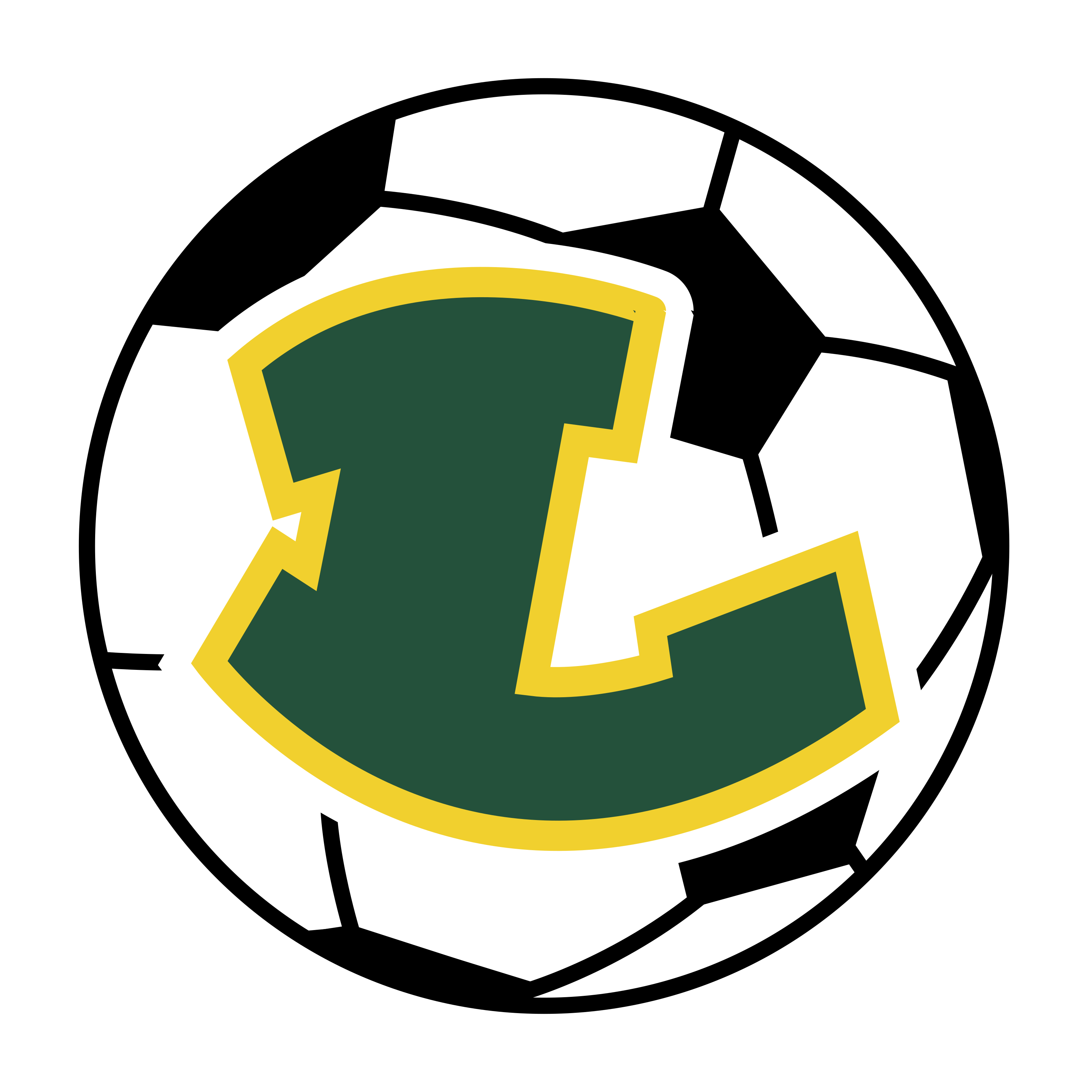 Lobos Soccer